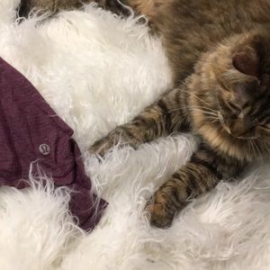 Lululemon purple tie tank